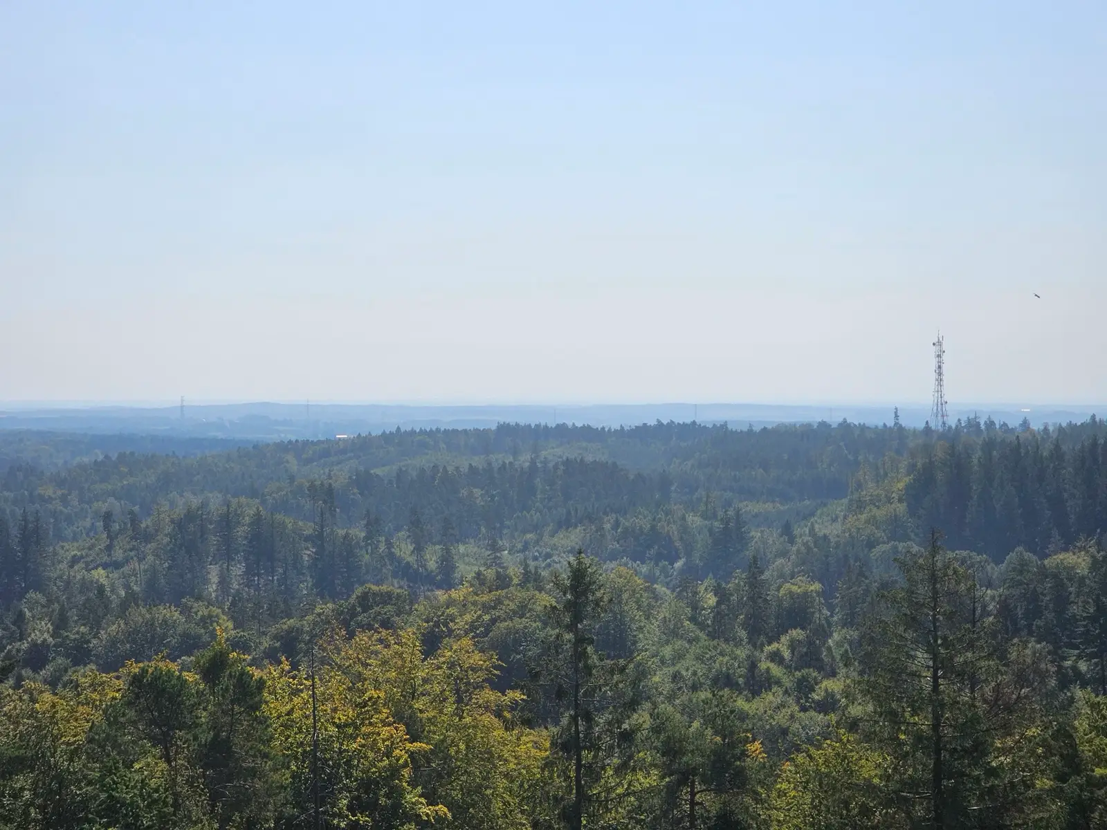 Zdjęcie z trasy TripWeekend, mikropodróże