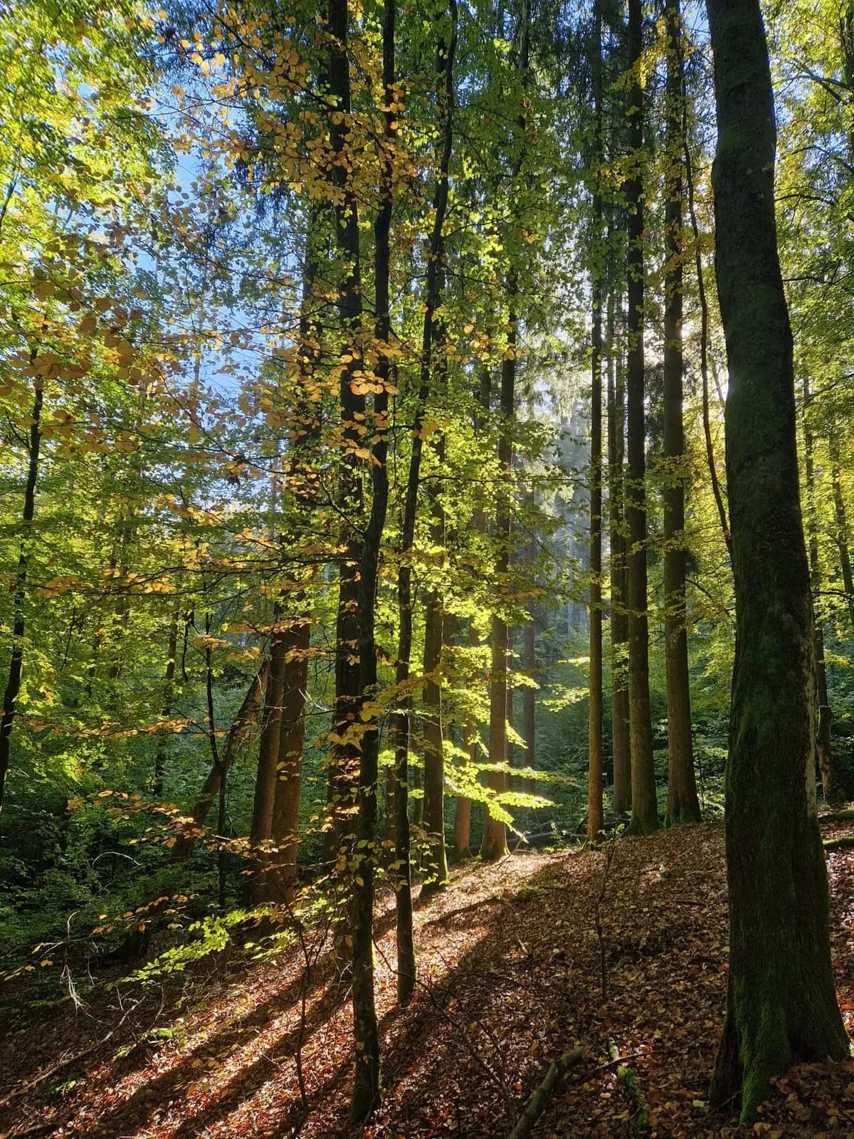Mikropodróże – wielka przygoda w małej skali, zdjęcie 6